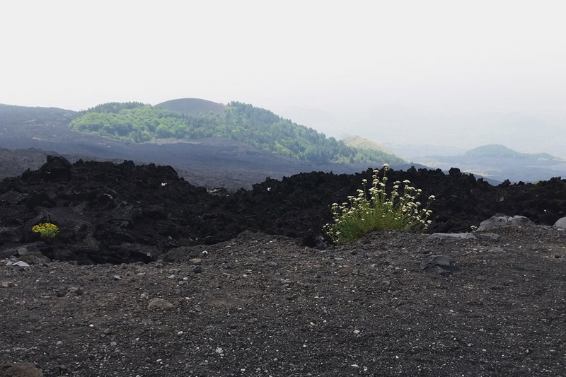 Mount Etna, Sicily