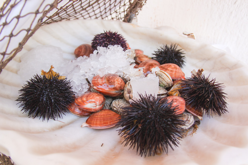 Fresh Fish in Mykonos Town, Greece