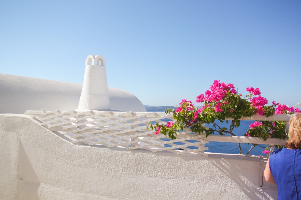 Bougainvillea in Oia, Santorini