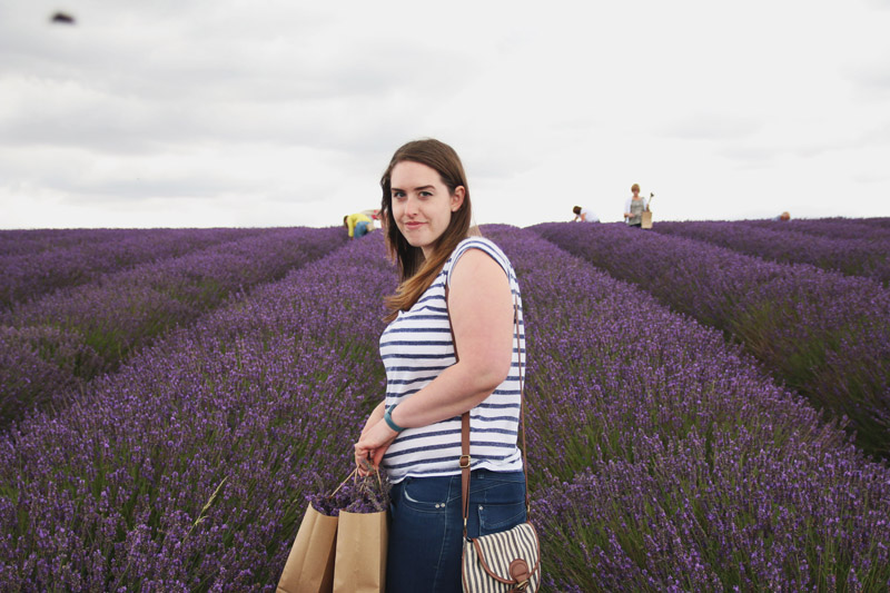 Hitchin Lavender Farm