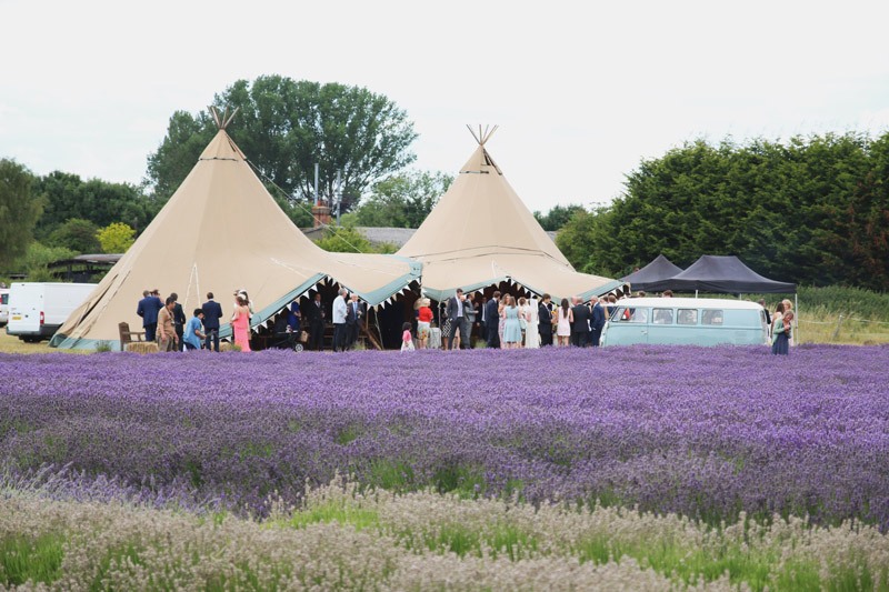 Hitchin Lavender Farm Wedding