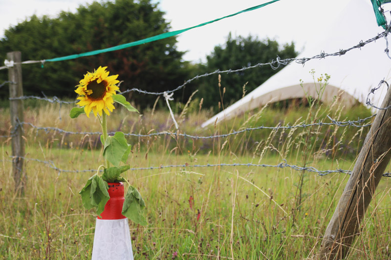 Hitchin Lavender Farm Wedding