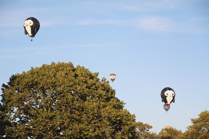 Bristol Balloon Fiesta