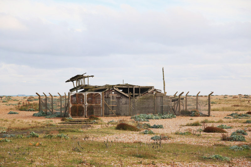 Dungeness Nature Reserve