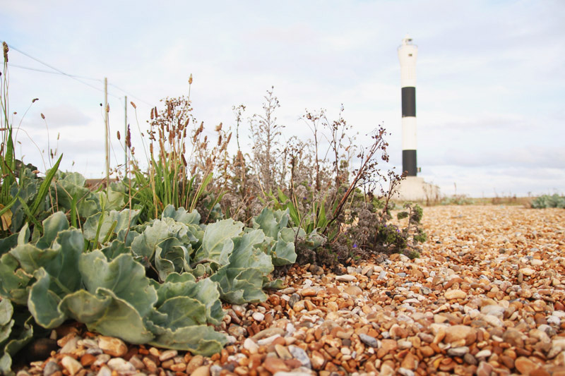 Dungeness Lighthouse