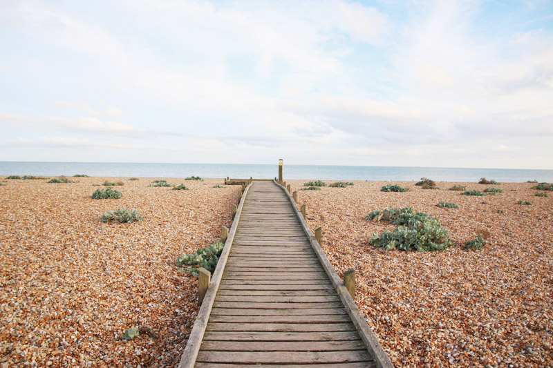 Dungeness Nature Reserve