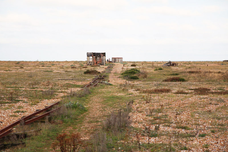 Dungeness Nature Reserve