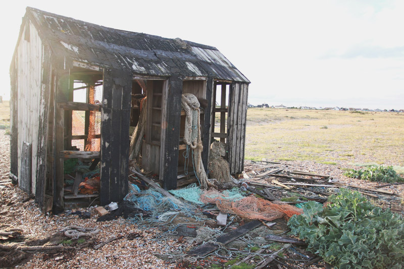 Dungeness Nature Reserve, Shed