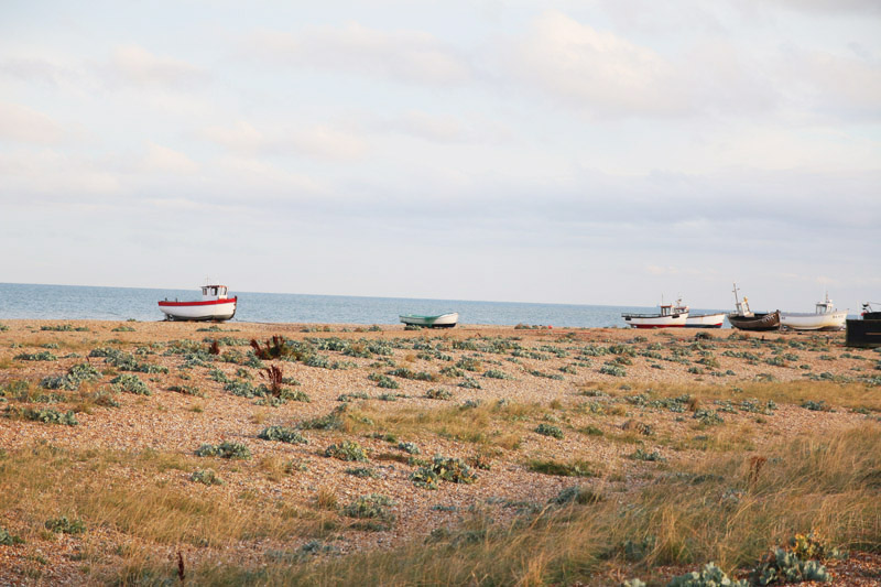 Dungeness Nature Reserve