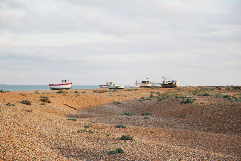 Dungeness Nature Reserve