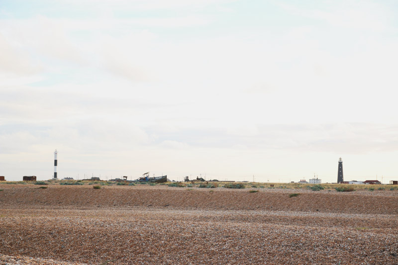 Dungeness Nature Reserve