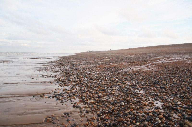 Dungeness Nature Reserve