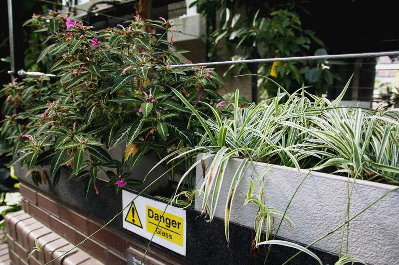 Barbican Centre Conservatory, London