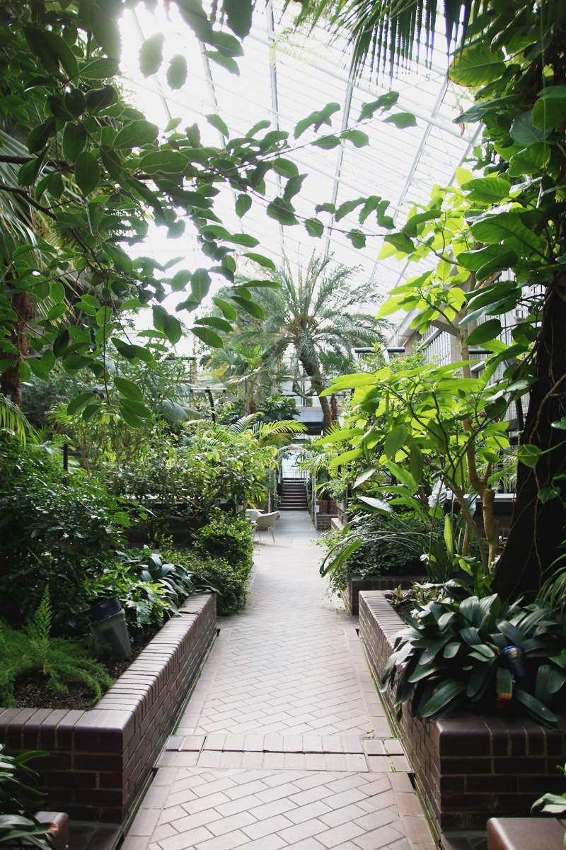 Barbican Centre Conservatory, London