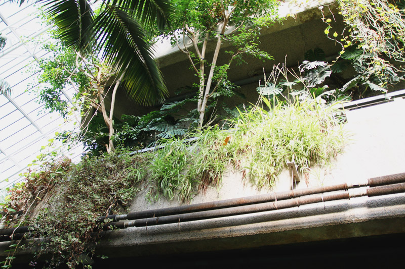 Barbican Centre Conservatory, London