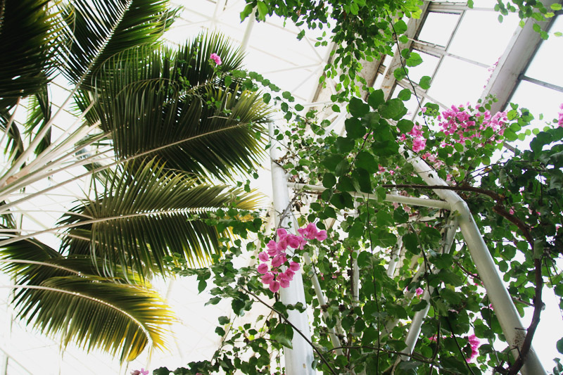 Barbican Centre Conservatory, London