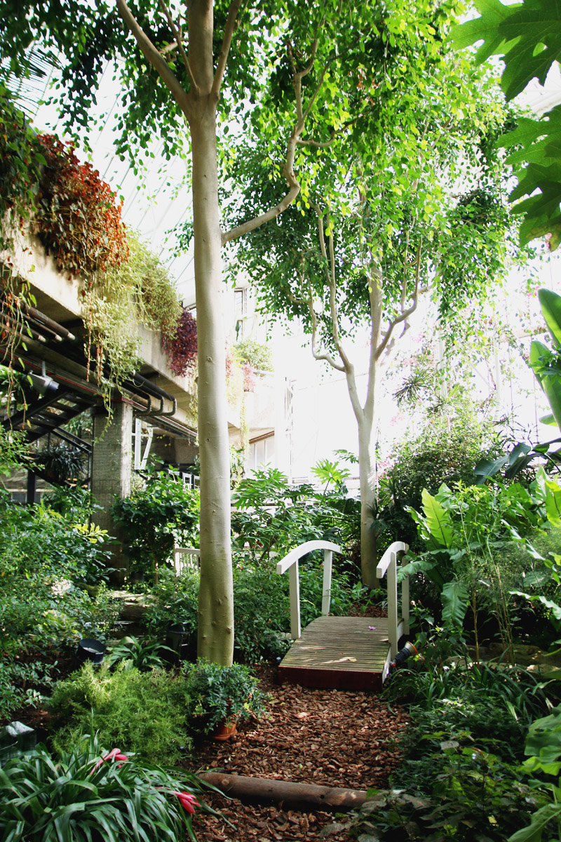 Barbican Centre Conservatory, London