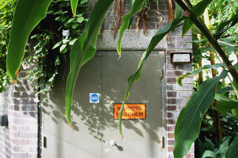 Barbican Centre Conservatory, London