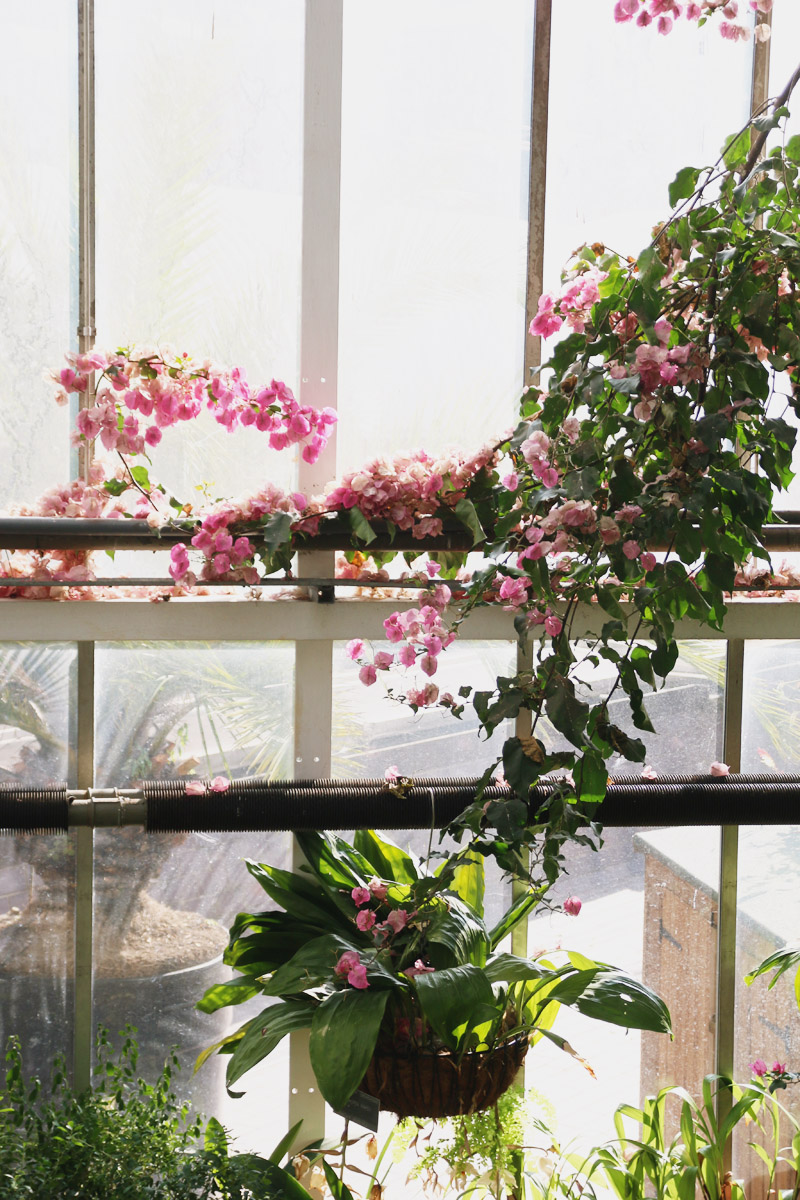 Barbican Centre Conservatory, London