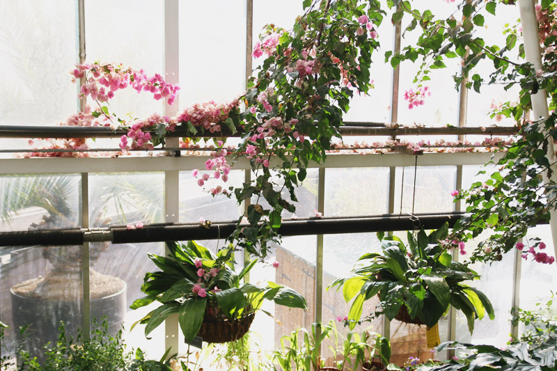 Barbican Centre Conservatory, London