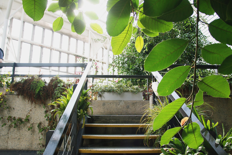 Barbican Centre Conservatory, London