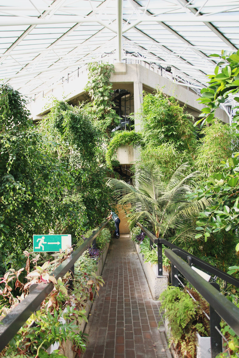 Barbican Centre Conservatory, London