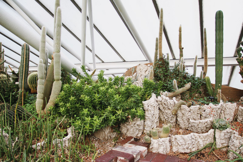 Barbican Centre Conservatory, London