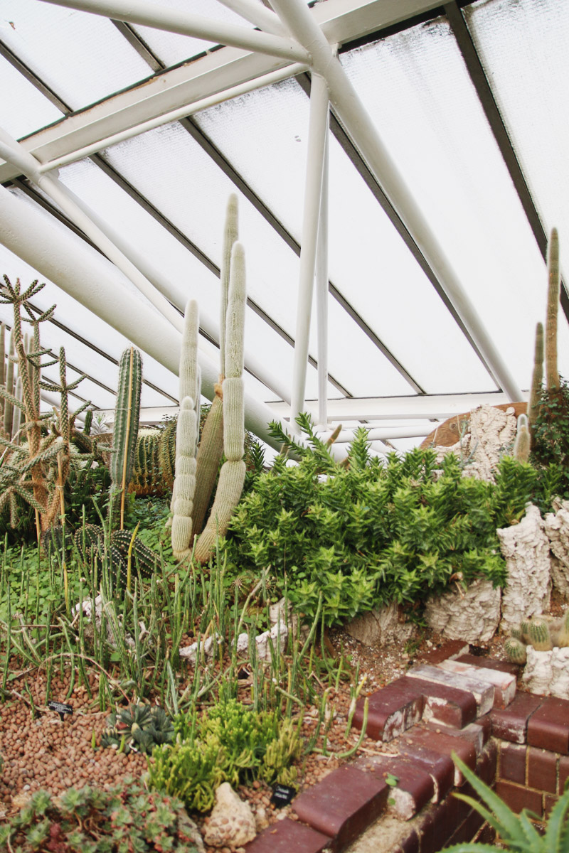 Barbican Centre Conservatory, London