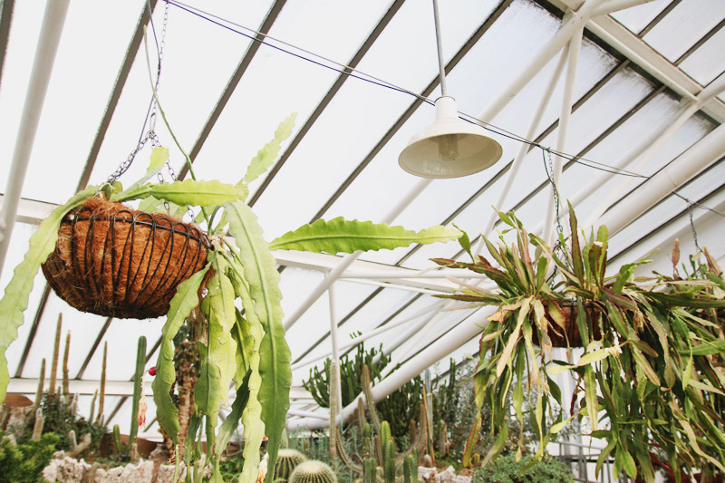 Barbican Centre Conservatory, London