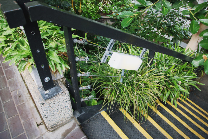 Barbican Centre Conservatory, London