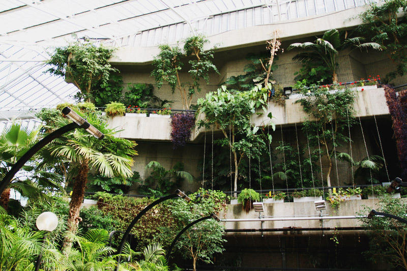 Barbican Centre Conservatory, London