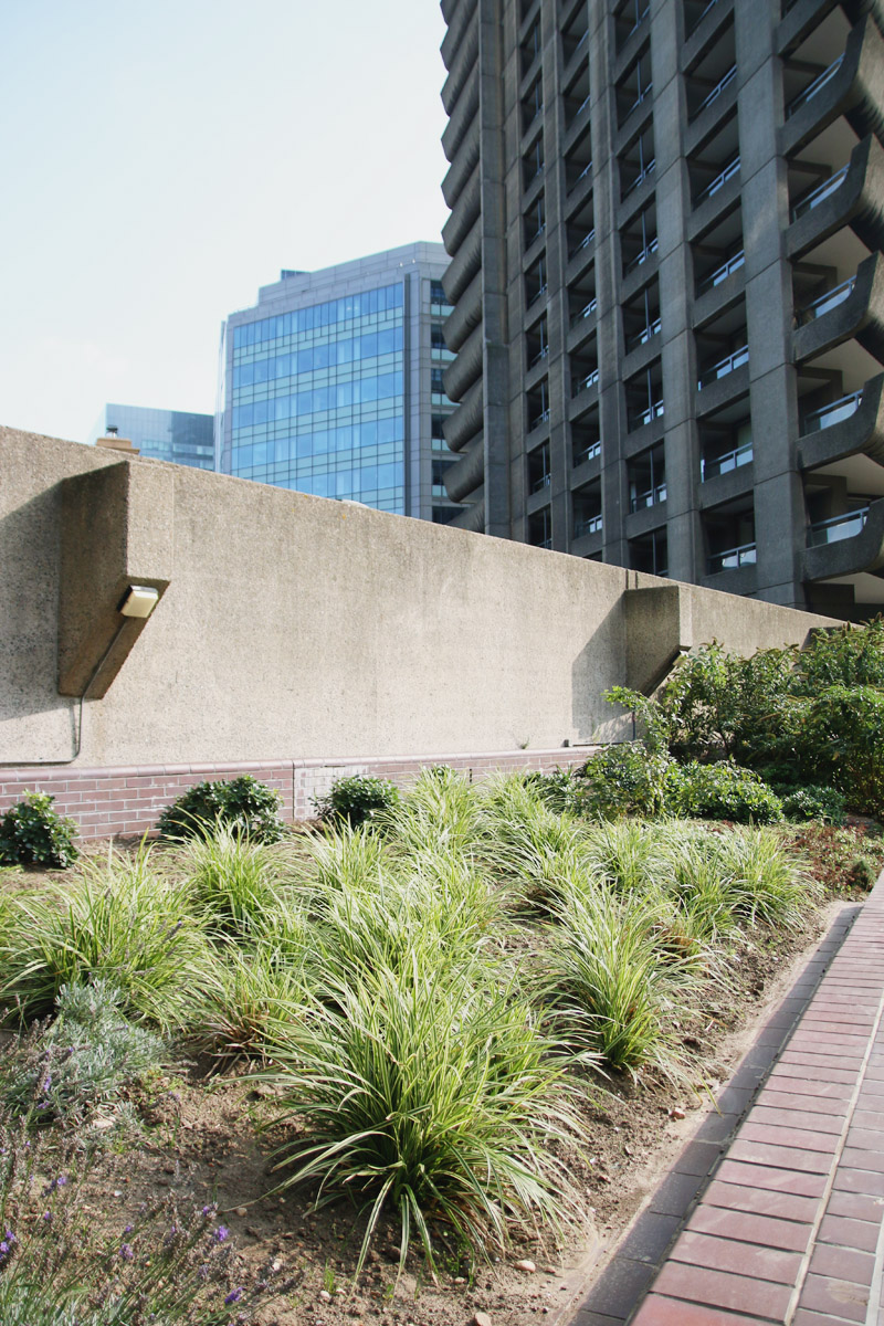 The Barbican Centre, London