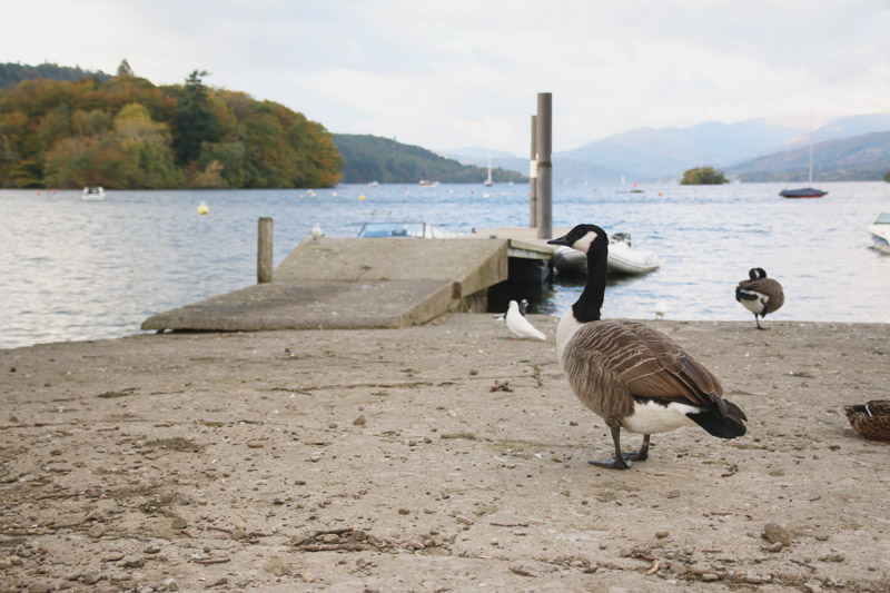 Lake Windermere, The Lake District