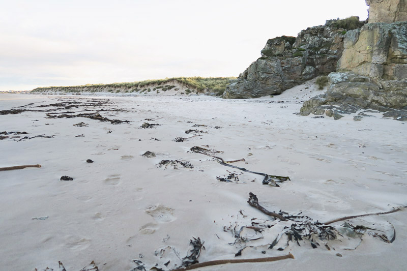 Covesea Lighthouse and Beach