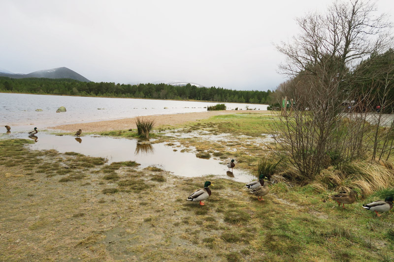 Loch Morlich, Aviemore, Scotland