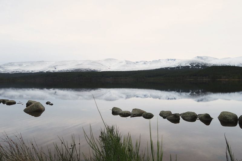 Loch Morlich, Christmas Day - Aviemore