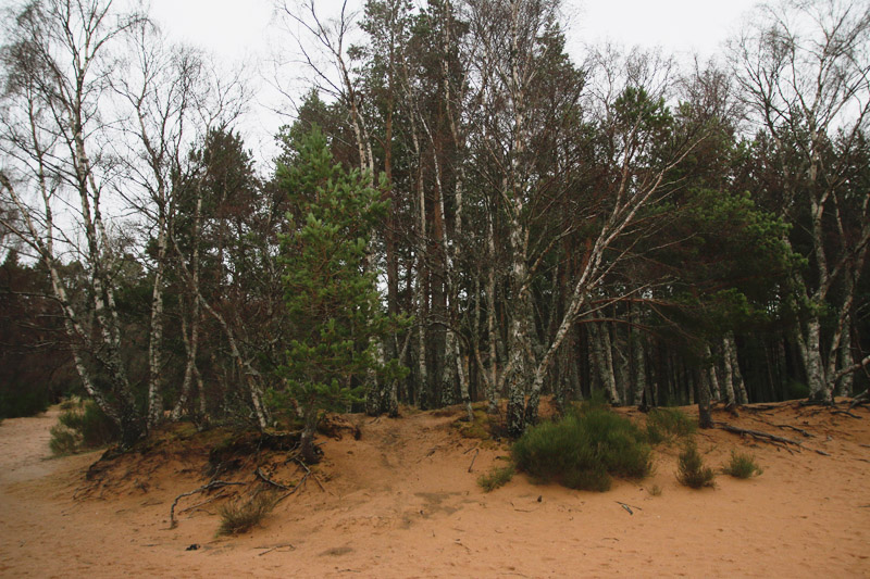 Loch Morlich, Aviemore, Scotland