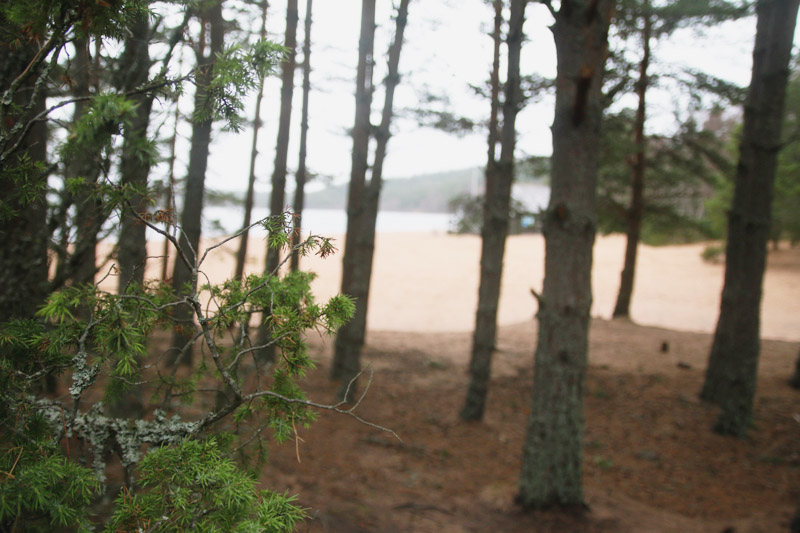 Loch Morlich, Aviemore, Scotland