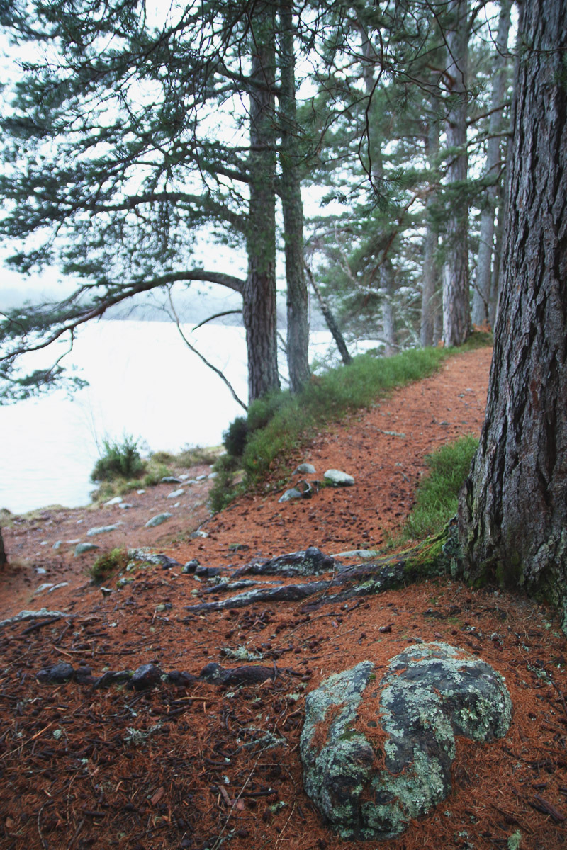 Loch an Eilein, Aviemore, Scotland