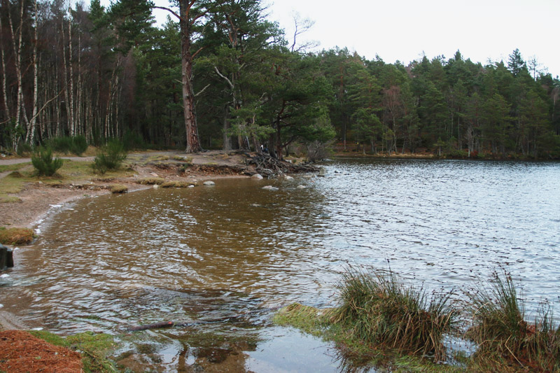 Loch an Eilein, Aviemore, Scotland