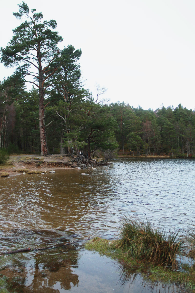 Loch an Eilein, Aviemore, Scotland