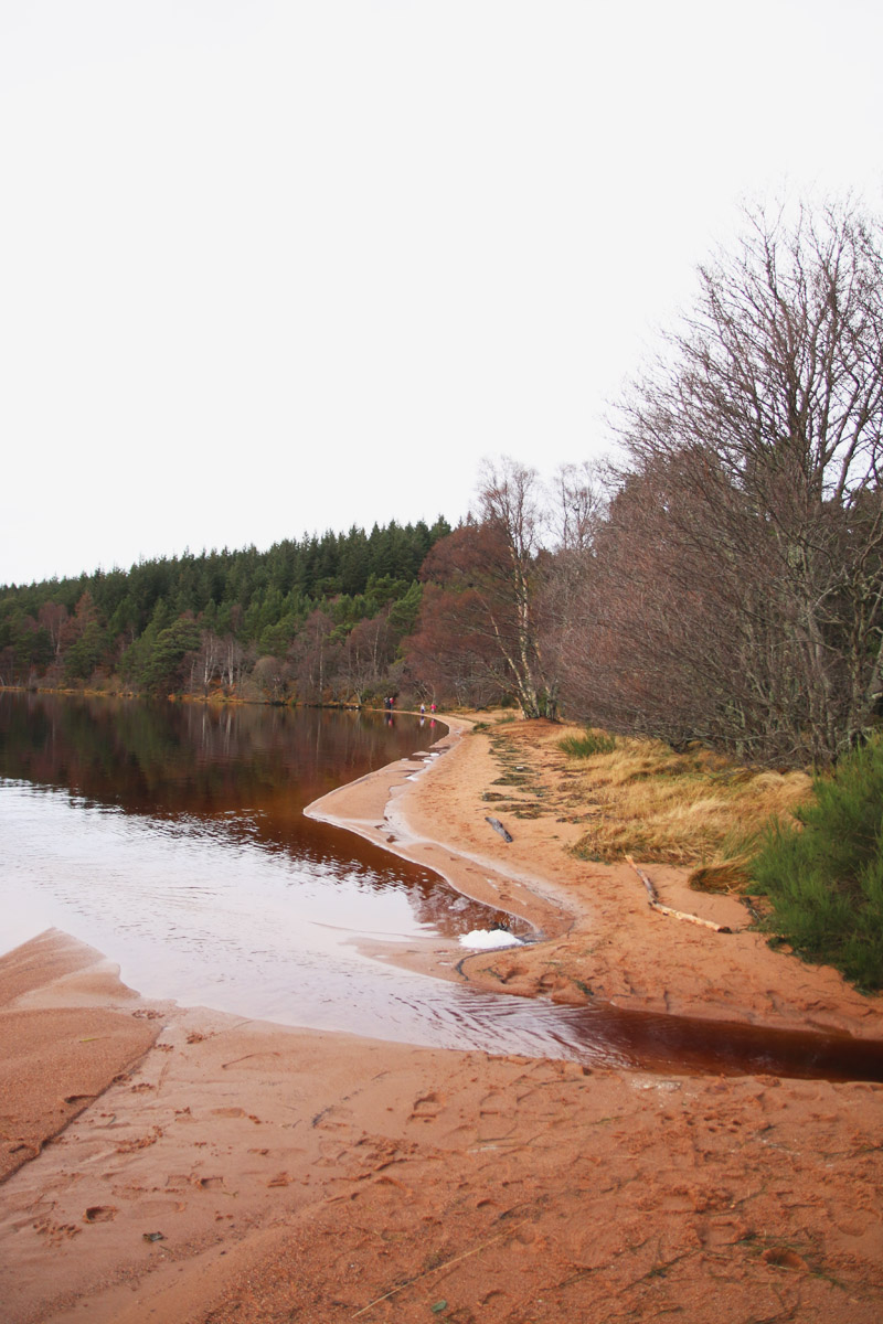 Loch Morlich, Christmas Day - Aviemore