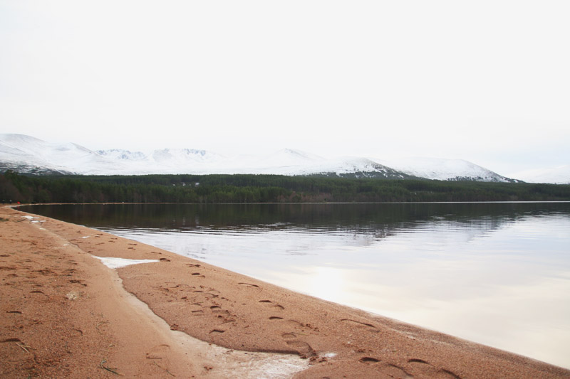 Loch Morlich, Christmas Day - Aviemore