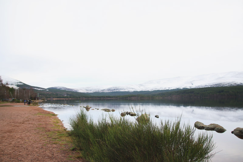 Loch Morlich, Christmas Day - Aviemore