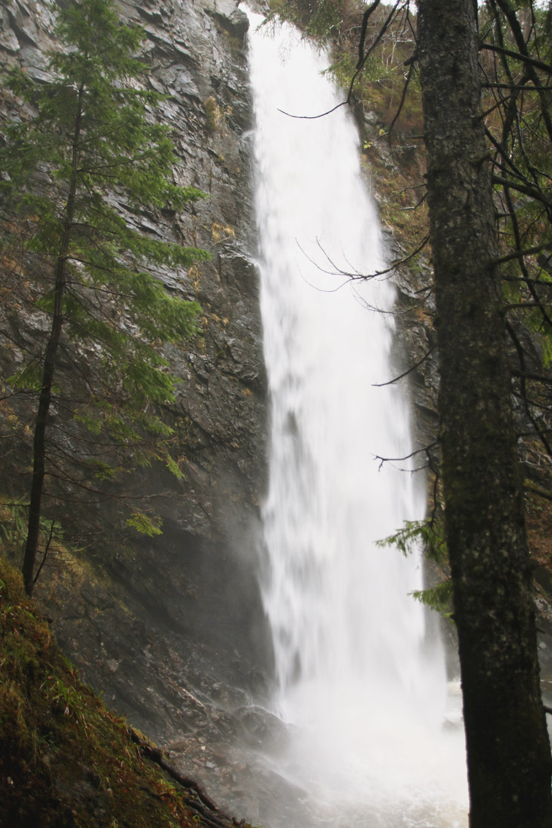 Plodda Falls, Scotland