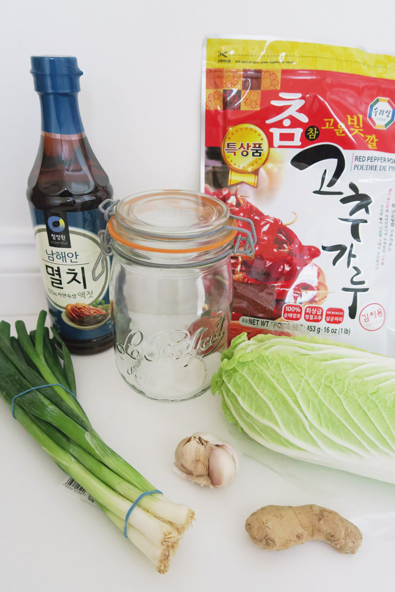 Homemade Kimchi Recipe