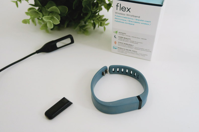 Fitbit Flex Review