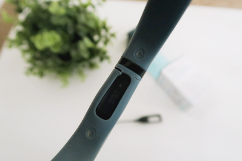 Fitbit Flex Review