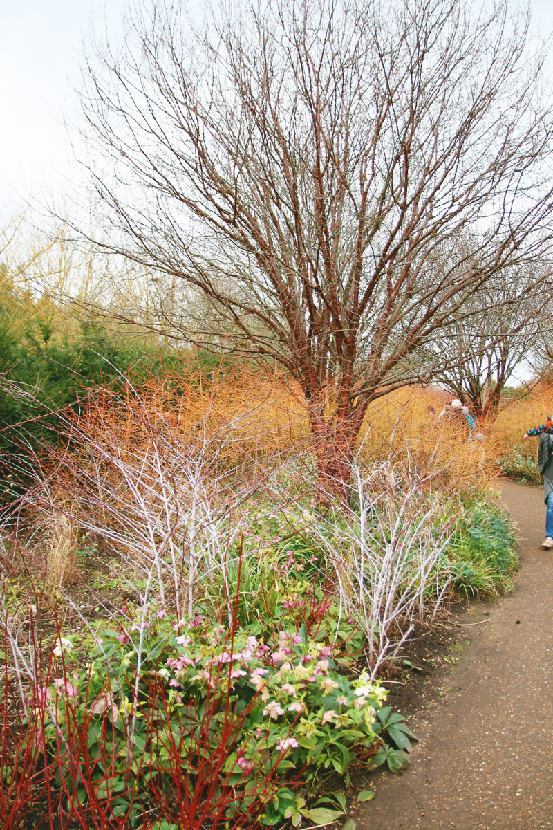 Anglesey Abbey, Cambridge