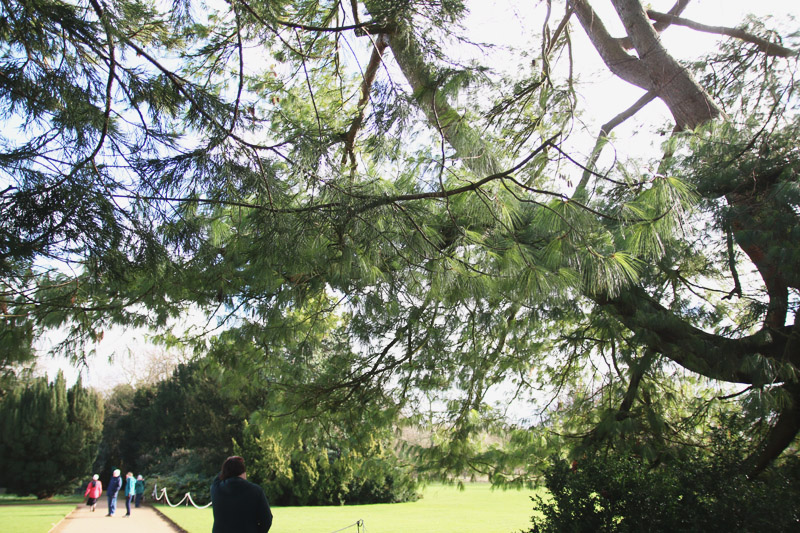 Anglesey Abbey, Cambridge